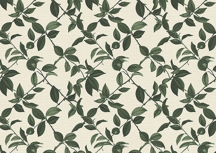 Plum Line, Coriscon - Twist&Fit Roman Blind - Image 7